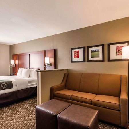 Comfort Suites Tuscaloosa Near University מראה חיצוני תמונה