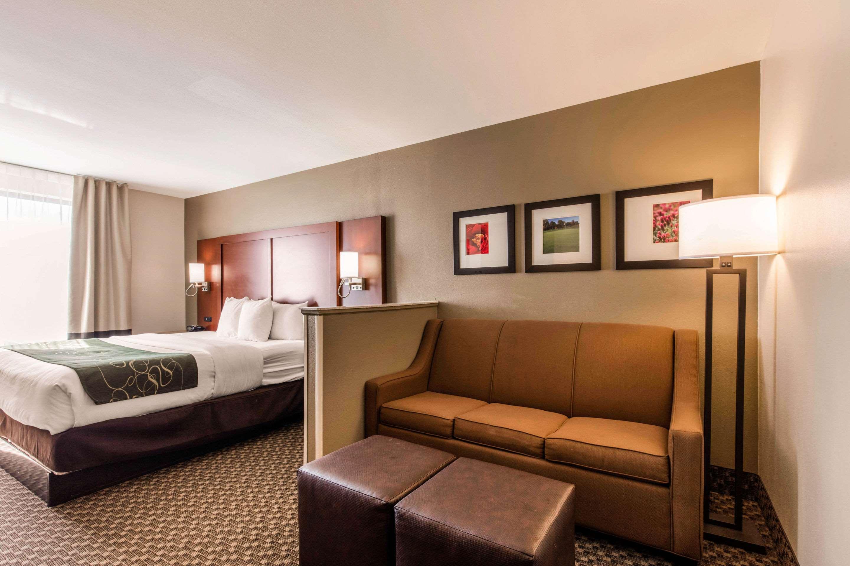 Comfort Suites Tuscaloosa Near University מראה חיצוני תמונה