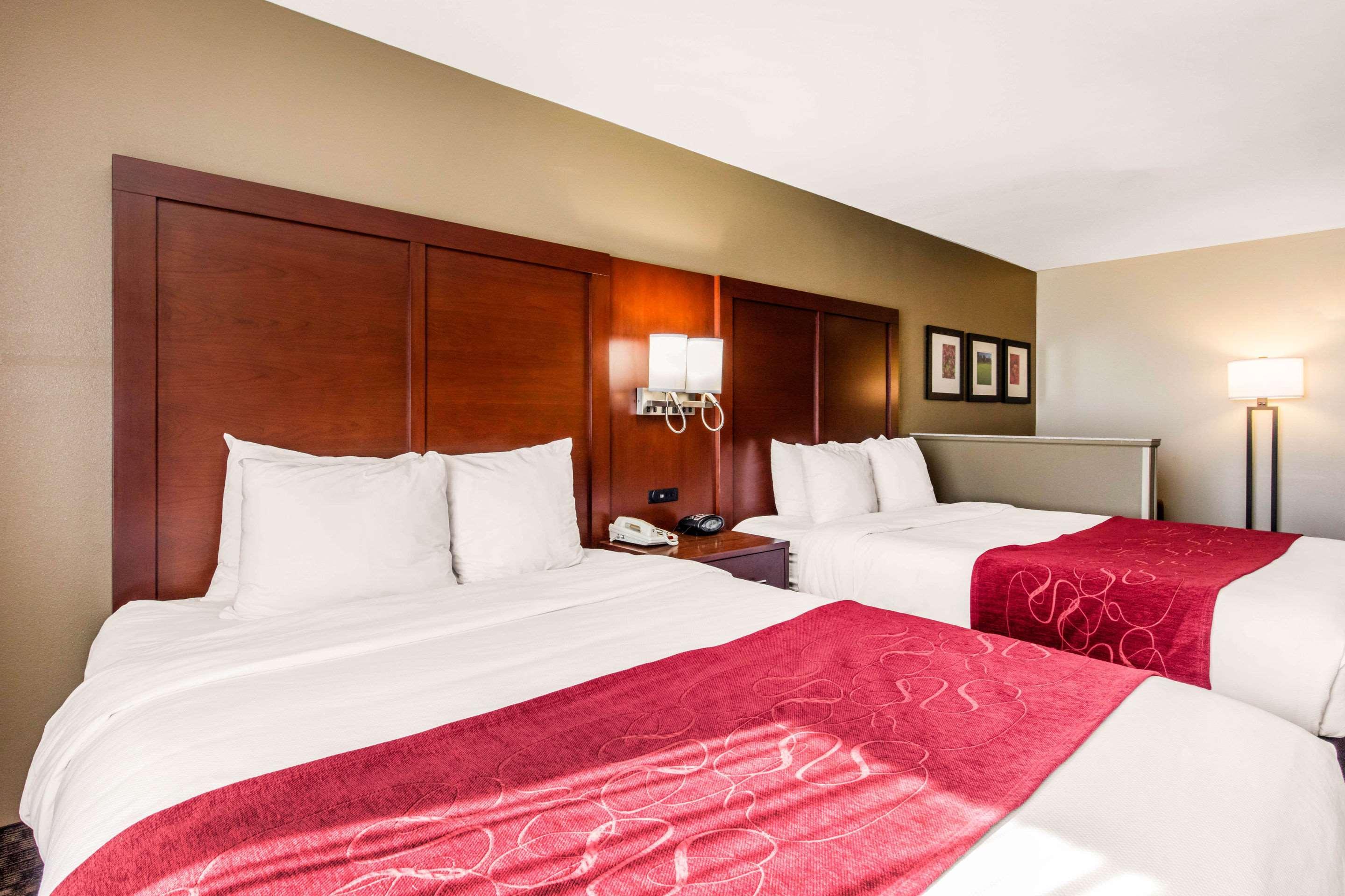 Comfort Suites Tuscaloosa Near University מראה חיצוני תמונה
